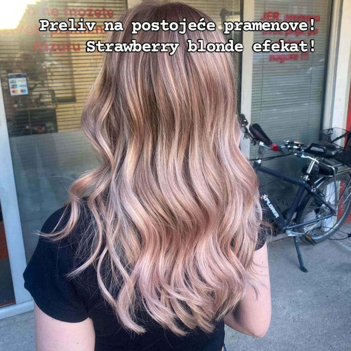 Project
